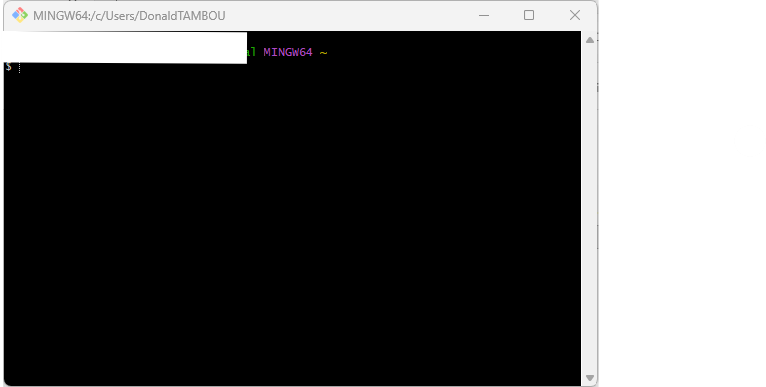Verifie que Git Bash est bien installé